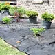 non woven fabric for garden